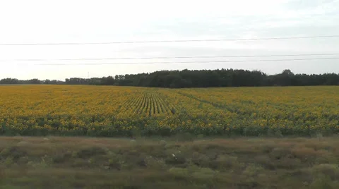 The view from a train window Stock Footage 28504236