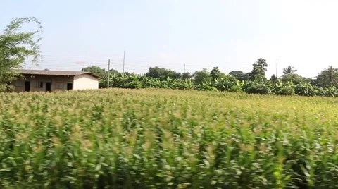 View from the train window. Stock Footage 50992809