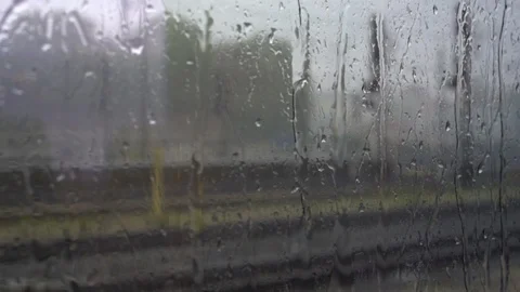 The view from the train window. Stock Footage 116304431