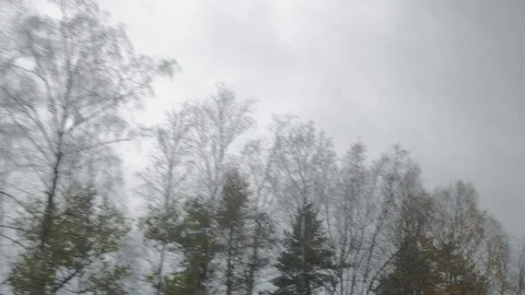 View from the train window  Stockbeeldmateriaal 118751104