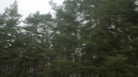 View from the train window  Видео 118751173