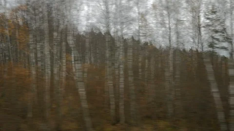 View from the train window  Stock Footage 118751345