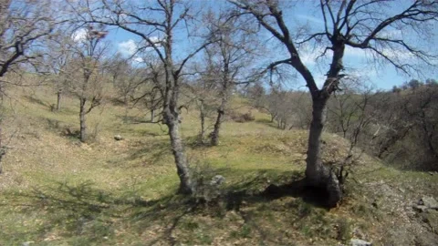 View from the train window Stock Footage 154482190