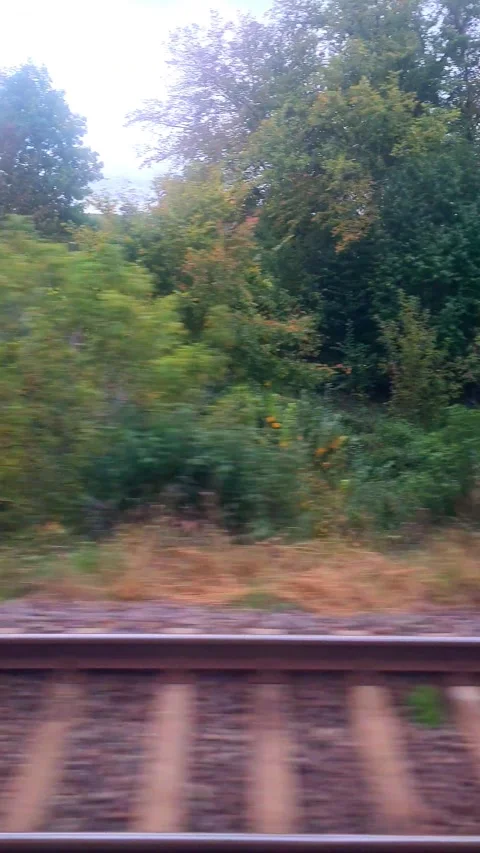 View from the train window Stock Footage 287858156