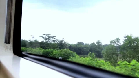 View from the train window. 스톡 동영상 319416944
