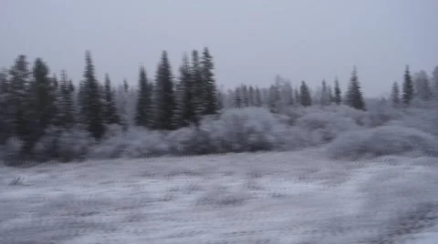 The view from the train window on the forest after the first snowfall Stock Footage 56922091