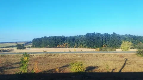 View from the train window of the forest, fields and road, power line in the Stock Footage 296228007