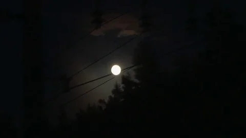 View from the train window late at night. full moon Stock Footage