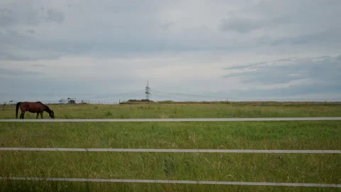 View from train window meadows, horses, Germany, movement, with clear skies Stock Footage 230859799