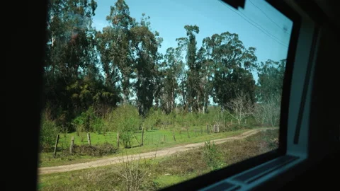 View from train window in motion - sun shines through trees silhouette Stock Footage 180064190