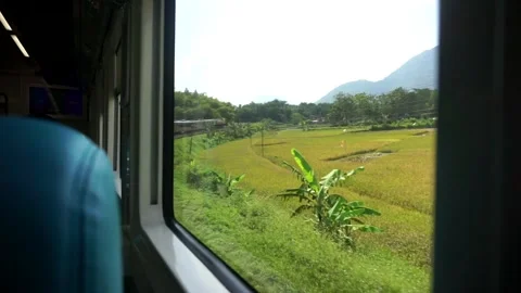 The view from the train window is a natural landscape of agricultural Stock Footage 333607129