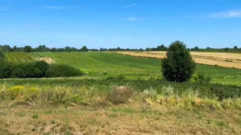 View from a train window of a rural landscape and fields in Poland. Vidéo 318968130