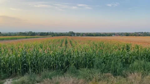 View from a train window of a rural landscape and fields in Poland at sunset. Stock-Footage 318978098