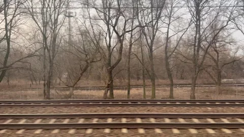 A view from the train window. A sad view of the rails running nearby and trees. Stock Footage 302925670
