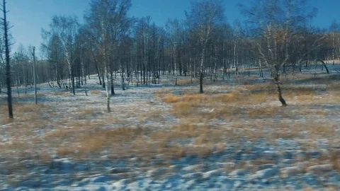 View from the train window to the Siberian expanses Stock Footage 101960261