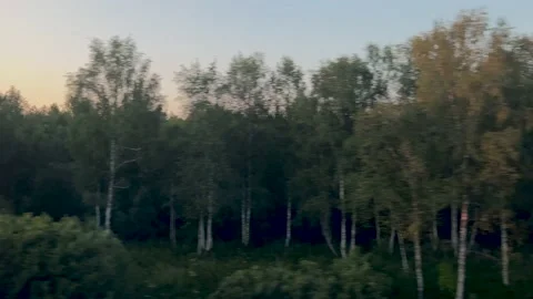 View from the train window in summer Stock Footage 210148309