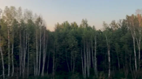 View from the train window in summer Stock Footage 210148389