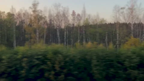 View from the train window in summer Stock-Footage 210148466