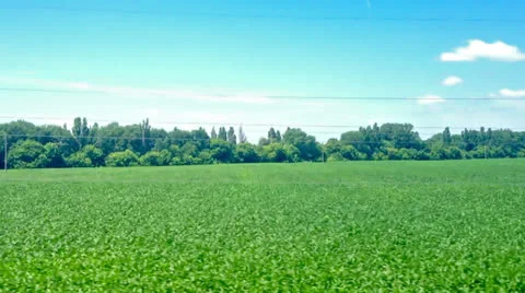 View from the train window. summer landscape. Stock Footage 25273032