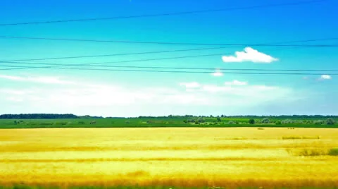 View from the train window. summer landscape. Stock Footage 25273040