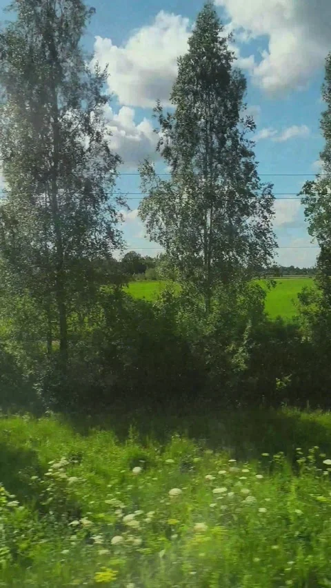 View from a train window of summer landscape with flowering trees and power.. Stock Footage 339854656