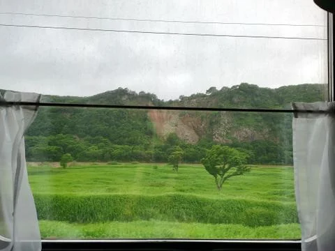 View from the train window. Summer landscape through the glass window Foto stock