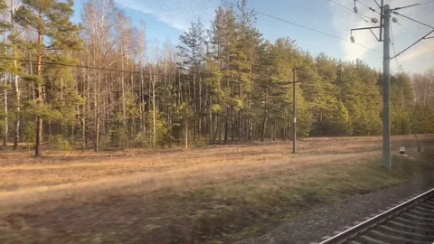 View from train window. Train Lviv - Mogilev. Belarus in December. Stock Footage 121739903