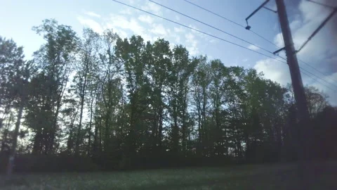 View from the train window, travel on a bright sunny day, trees outside the Stock Footage 168009443