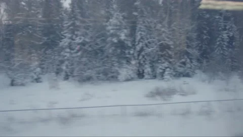 View from the train window to the winter forest. The movement of the train Stock Footage 195103853