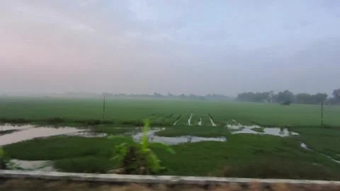 View from train windows Stock Footage 315621700