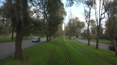 View from the tram window street tree grass rails. Stock Footage 143272535