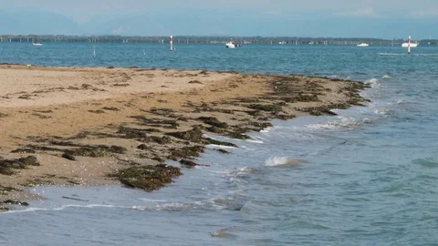 View of tranquil sand dunes, waves and lush foliage overlooking the hills Stock Footage 117412960