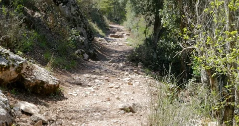 View of a travelling path Stock Footage 91143448