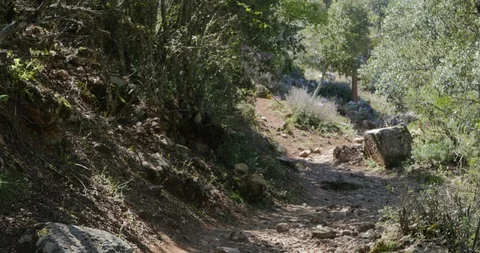 View of a travelling path Stock Footage 91144887