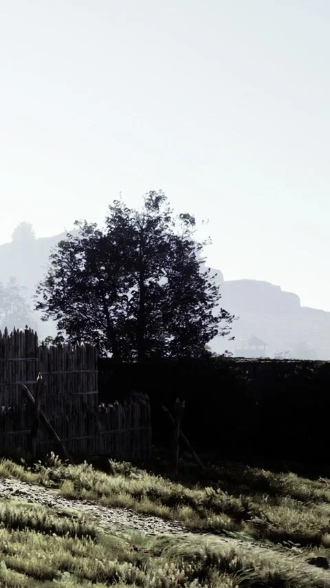 View of a tree and hills in a rural area at different times of day Stock Footage 332206090