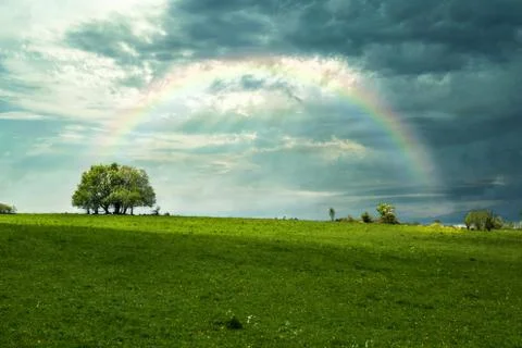 View of tree on green field with sunrays and rainbow Stock-Fotos