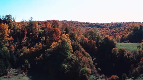 View to the tree leaves and landscape covered with autumn colors. Stock Footage 167372409