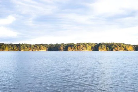 View of tree line from beach Stock Photos