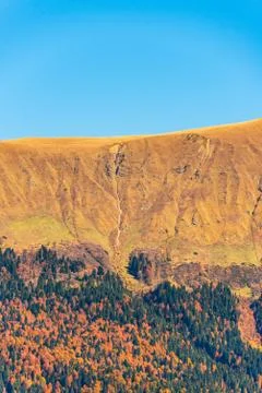 View of the Tree Line the elevation at which trees stop growing in the mountains Stock Photos