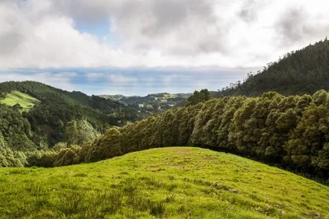 View of tree line go through green hills to Atlantic ocean Stock Photos
