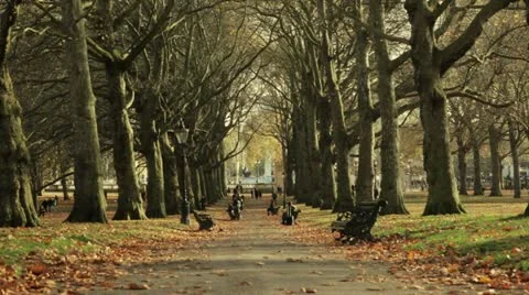 View of a tree-lined avenue in Green Park, London Stock-Footage 14828479
