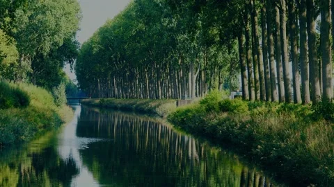 View of tree lined canal of Schiplaken with tractor in the background Stockbeeldmateriaal 220038715