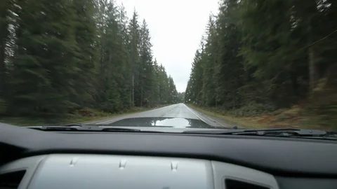 View of Tree-Lined Highway Through Car Windshield Stock Footage 86757858