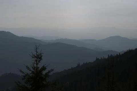 View of tree in mountains under blue sky Stock Photos