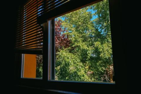 View of the tree outside the window on a hot summer day. Stock Photos