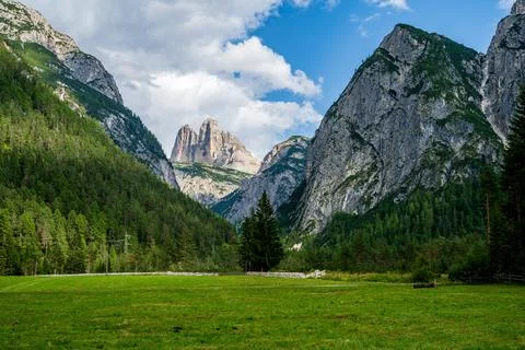 A view to tree peaks from the ground Stock Photos