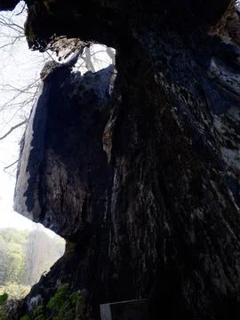 The view of the tree 스톡 사진