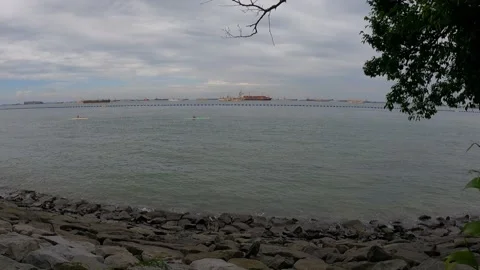 View from tree to reveal the sea Stock Footage 155887592