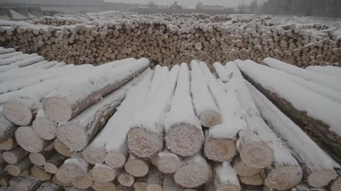 View of  tree storage warehouse. LOG, long shot Stock Footage 199574047