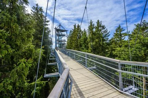 View of the tree top path and trail in beautiful mountain scenery - Skywalk.. Photos